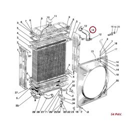 Viršutinė radiatoriaus žarna 50-1303001