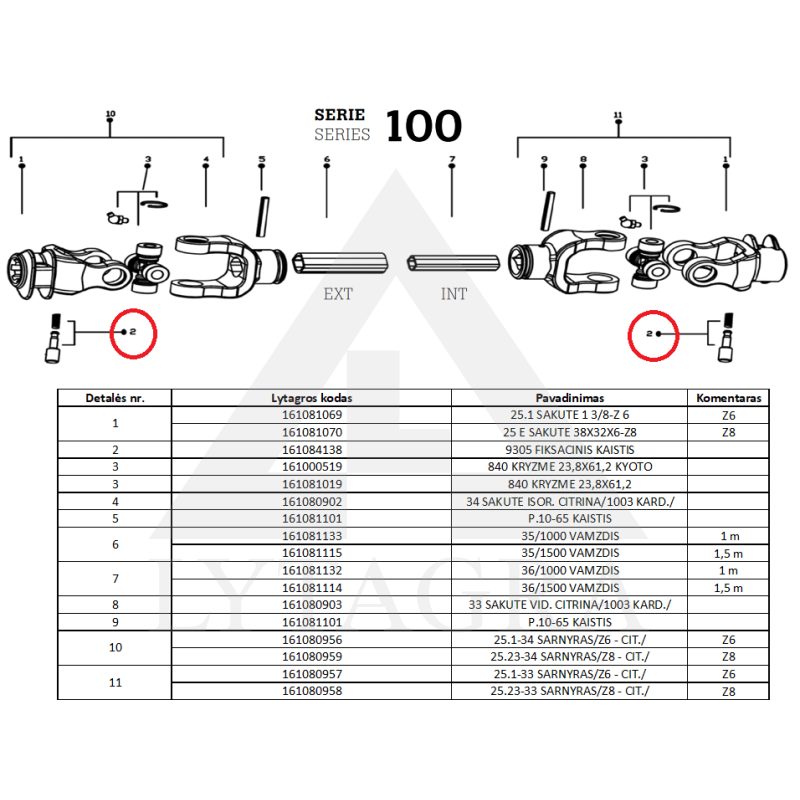 Fiksacinis kaištis 9305