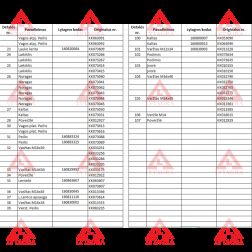 Noragas KVERNELAND 073004 Lenkiškas
