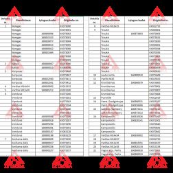 073614 F Lauko lentos apasuga Kverneland