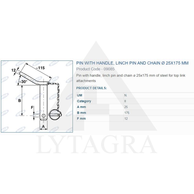 Kaištis su fiksatoriumi 25X175 A09085
