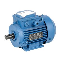 El. trifazis variklis 0,55kW / 3000 APS / PAD
