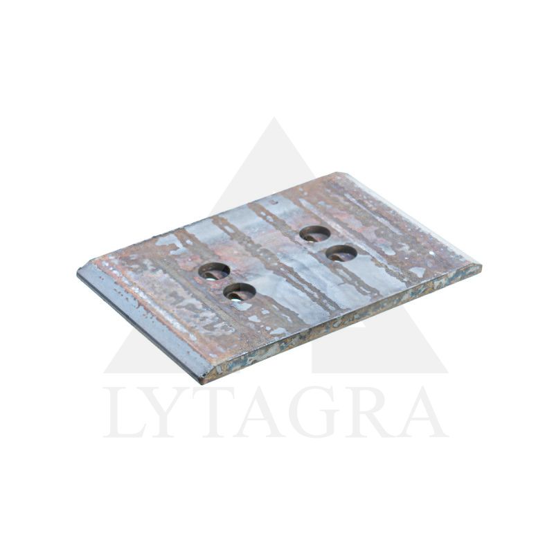 41659428909 L. LENTOS PLOKŠTELĖ (APSAUGA)padas