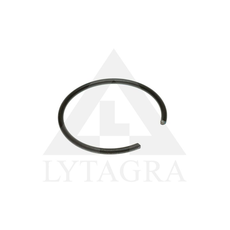 13421876 ŽIEDAS