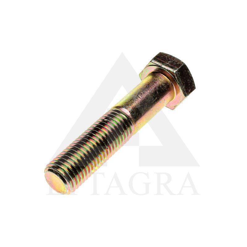 9780064 VARŽTAS, M24 x 3 x 110 MM CL10.9
