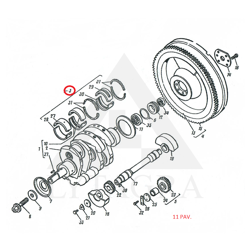 Pgrindiniai indėklai D-21 N1 (l21-1005100 N1)