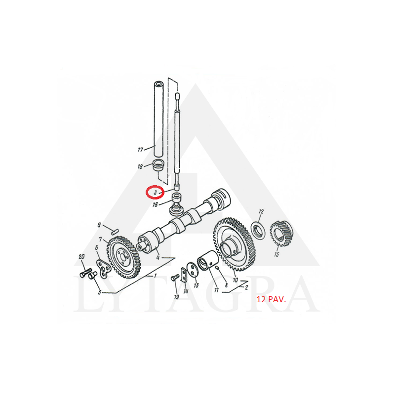Strypas D37-1007320