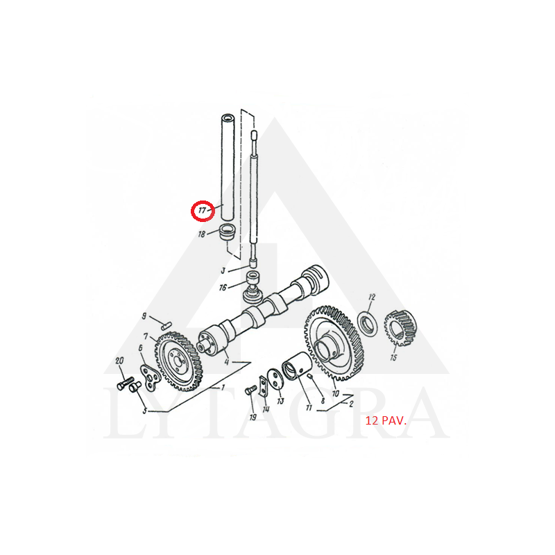 Vamzdelis D37-1007393