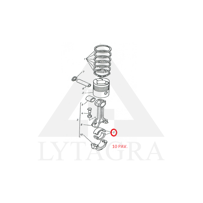 Švaistikliniai indėklai D-21 R1 (D21-1004150R1)