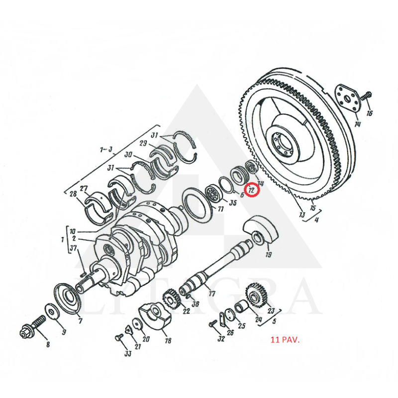 Lizdas D30-1005256