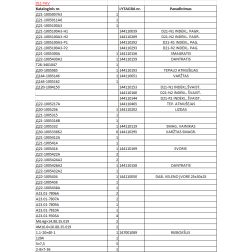 Riebokšlis 20x40