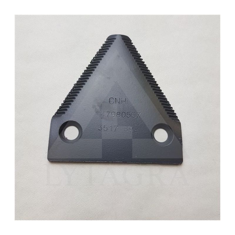 47980557 DALGIO SEGMENTAS