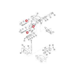 406834A1 RIEBOKŠLIS