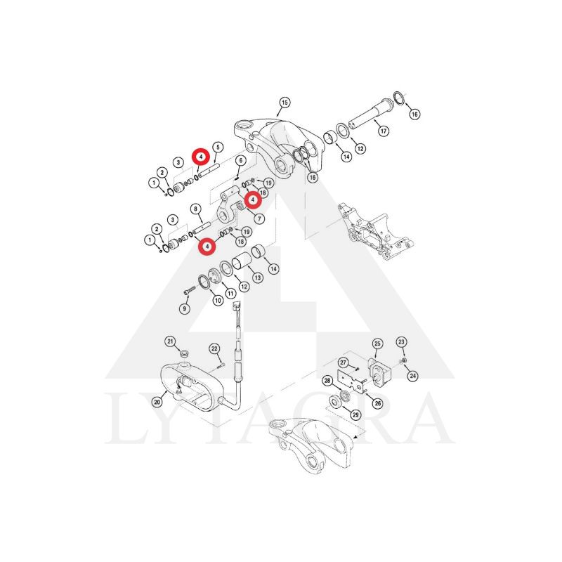 406834A1 RIEBOKŠLIS