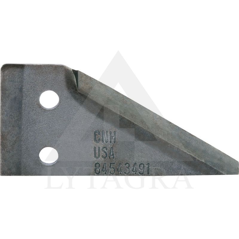 84543491 PUSINIS SEGMENTAS