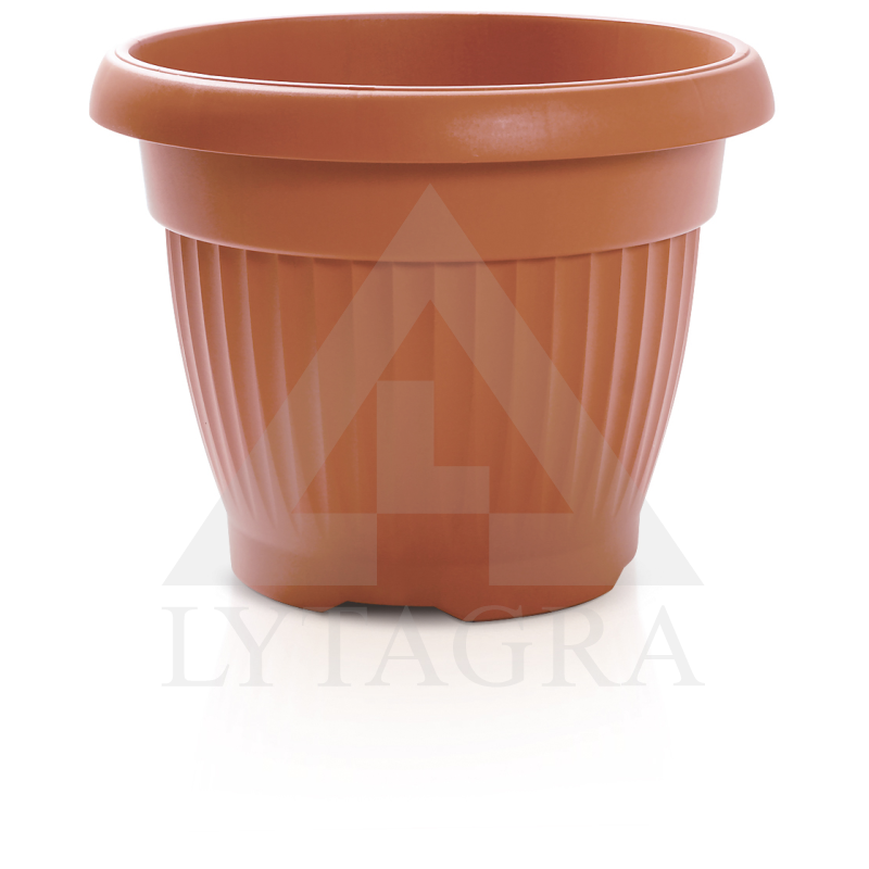 PR VAZONAS TERRA RUDAS DCE20