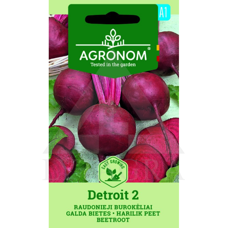 AGR BUROKĖLIAI RAUD. DETROIT 2