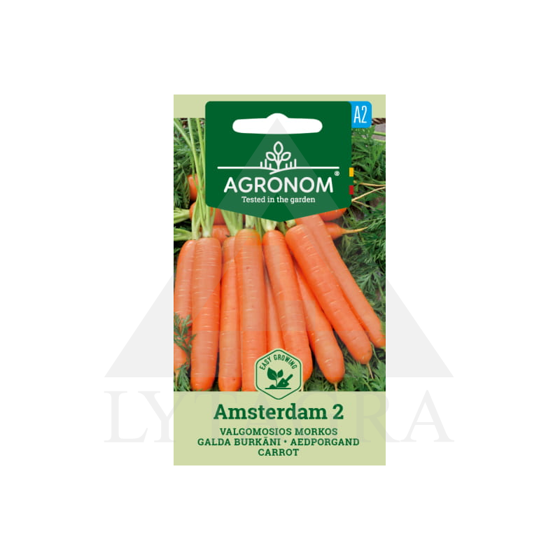 AGR MORKOS VALGOM. AMSTERDAM 2