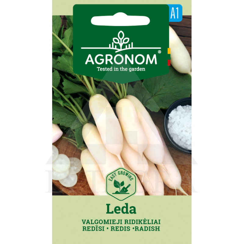 RIDIKĖLIAI VALGOM. LEDA