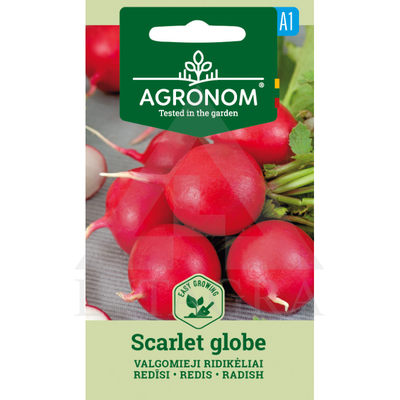 RIDIKĖLIAI VALG. SCARLET GLOBE