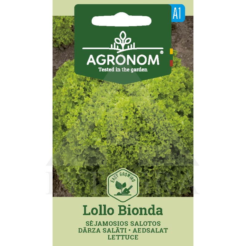 AGR SALOTOS SĖJAMOSIOS LOLLO BIONDA 1G