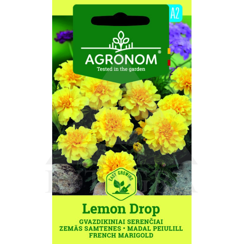 AGR-N SERENČIAI GVAZDIKINIAI LEMON DROP