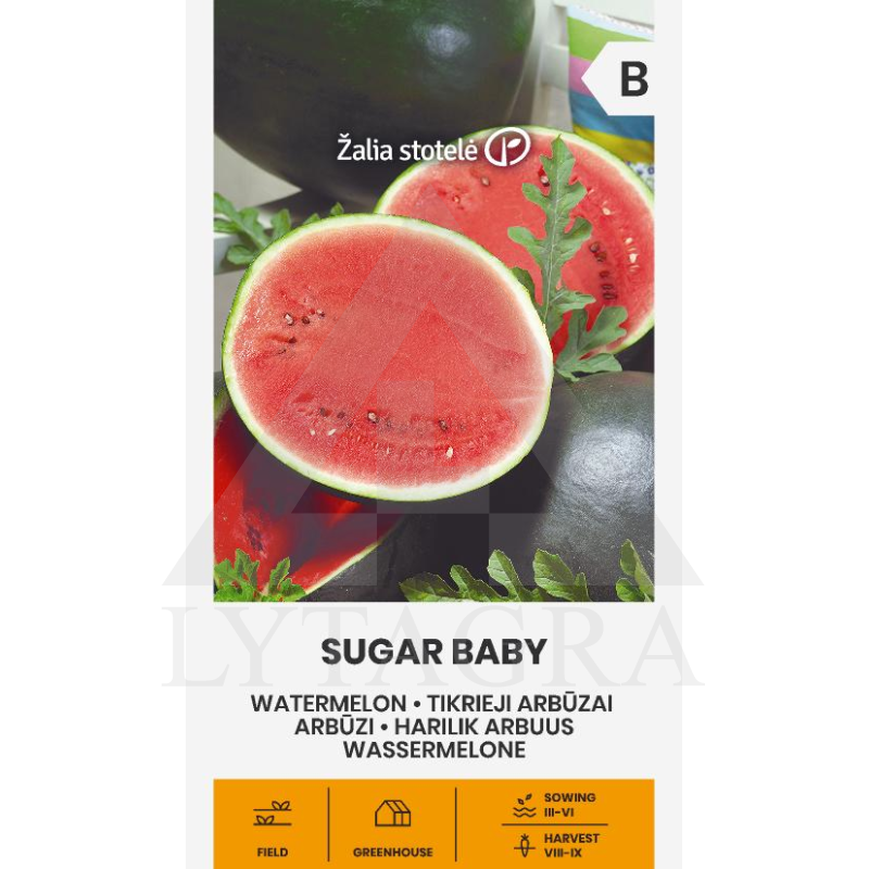 VL ARBŪZAI TIKRIEJI SUGAR BABY LO0390030010