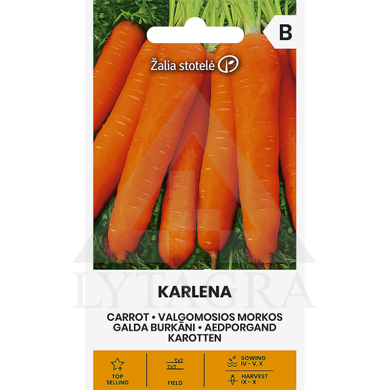 VL MORKOS VĖLYVOS KARLENA