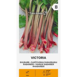 VL RABARBARAI DARŽOVINIAI VIKTORIJA 1G
