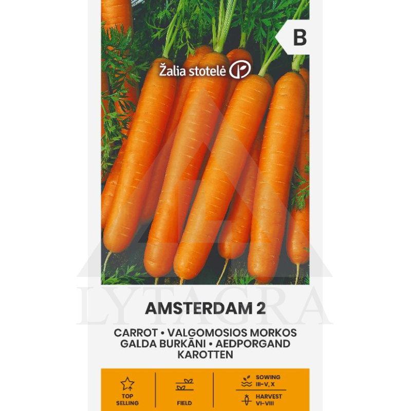 VL MORKOS VALGOM. AMSTERDAM 2 AKNST.
