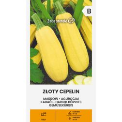 VL AGUROČIAI ZLOTY C EPELIN