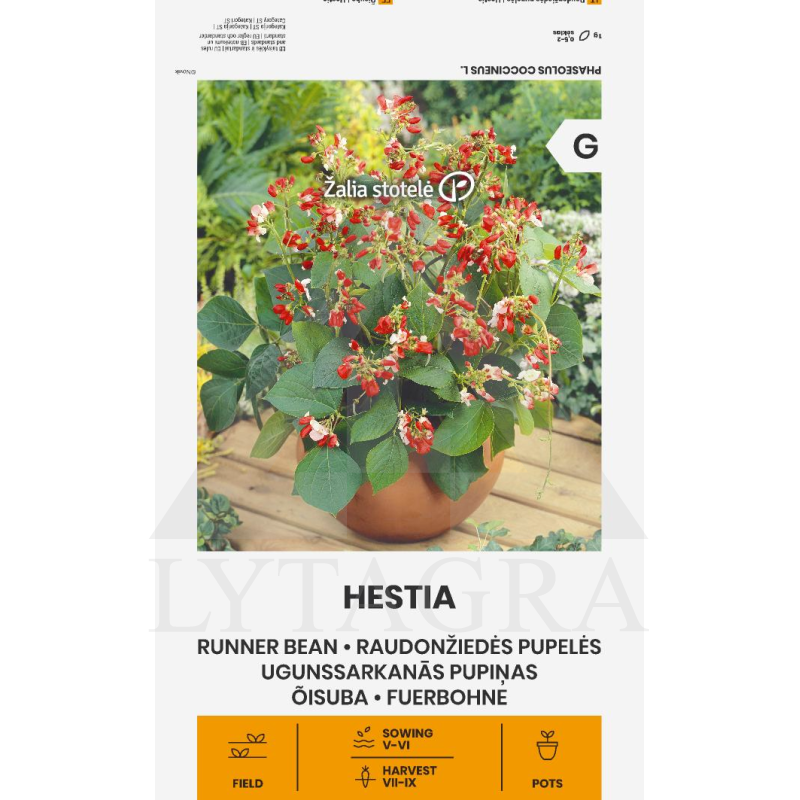 VL PUPELĖS  RAUDONŽIEDĖS HESTIA 10G