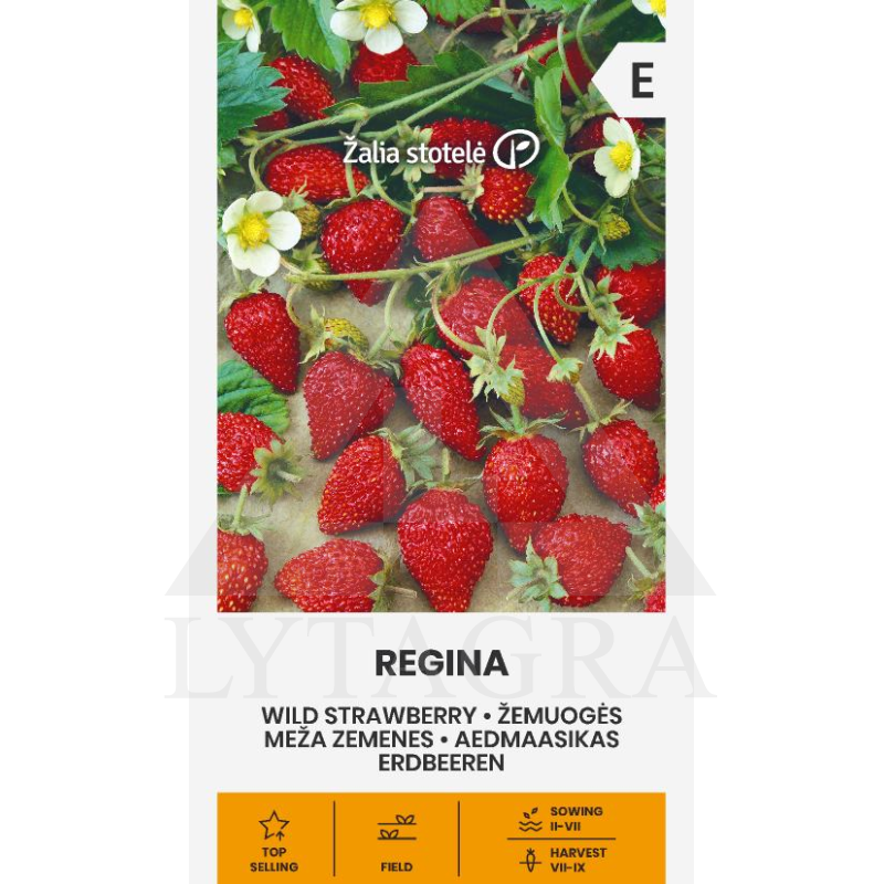 VL ŽEMUOGĖS REGINA