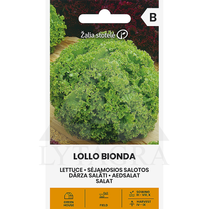 VL SALOTOS SĖJAM LOLLO BIONDA