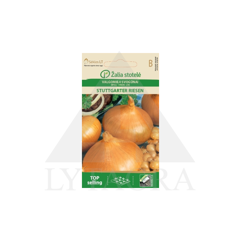 VL SVOGŪNAI VASARIN. STUTGARTEN