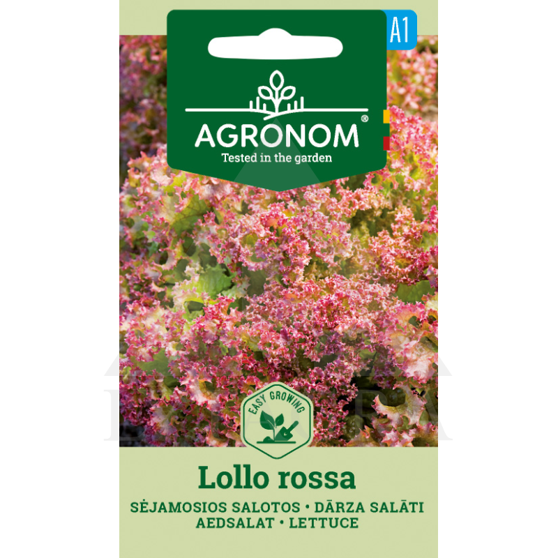 AGR SALOTOS SĖJAMOSIOS LOLLO ROSSA