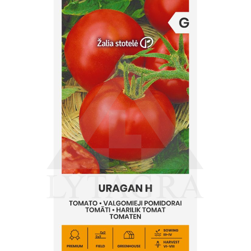 VL POMIDORAI VALGOM. URAGAN H
