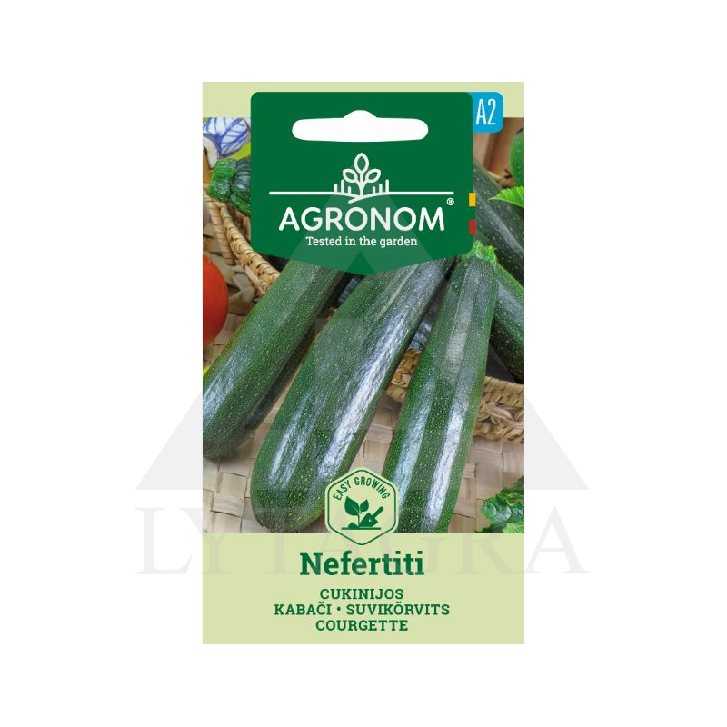AGR CUKINIJOS NEFERTITI