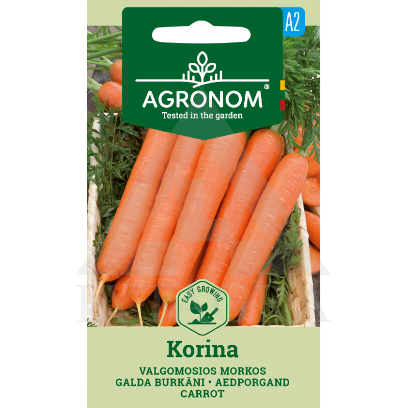 AGR MORKOS KORINA