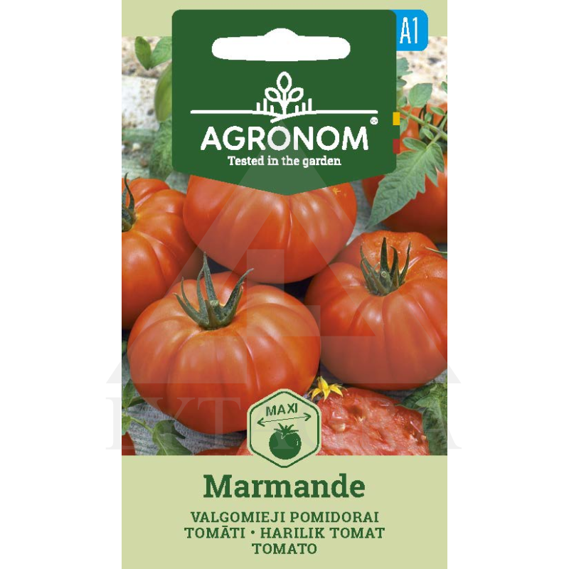 AGR POMIDORAI VALGOM. MARMANDE