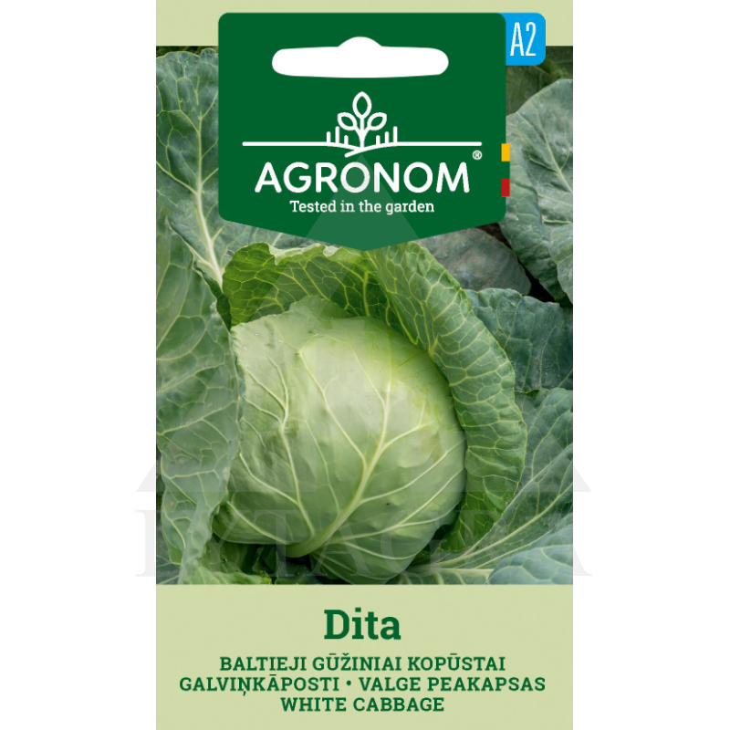 AGR KOPŪSTAI BALTIEJI GŪŽINIAI DITA