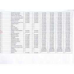 El. variklis Stromtec K125-120100