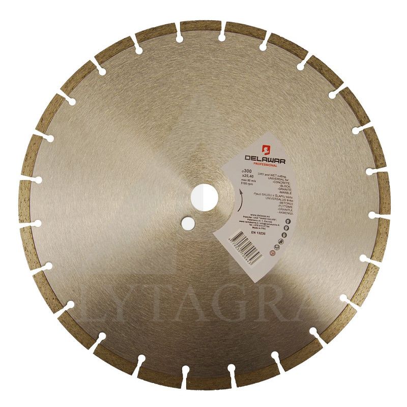 Diskas deimantinis DELAWAR Segment RC D300x25