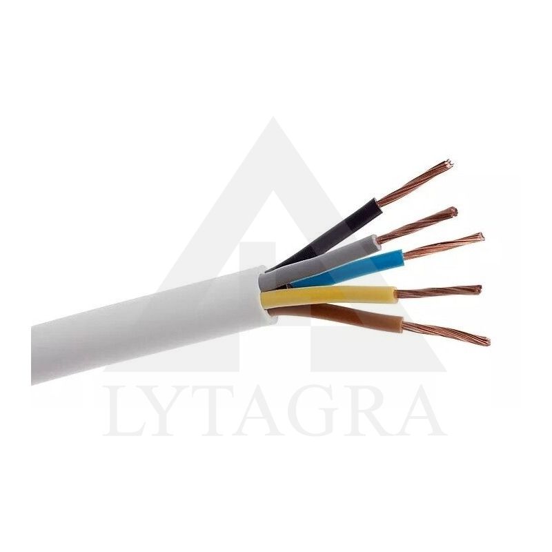 Inst.kabelis HO5VV-F 5G1,0 /La