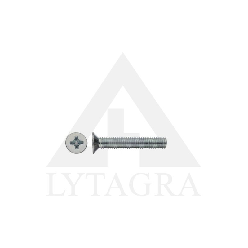 Varžtas DIN965 M5-80 Zn, 10 vnt