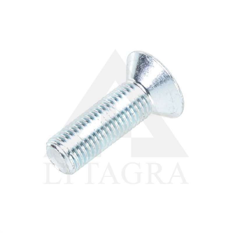 00370262 VARŽTAS M 16 x 50