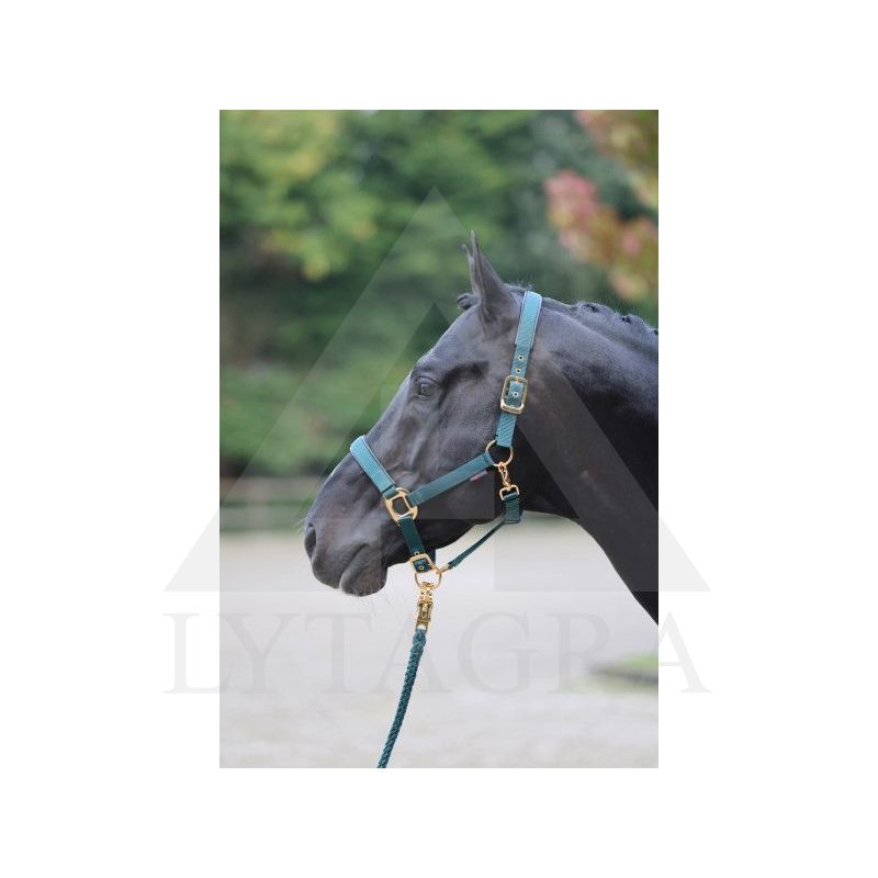 Apynasris Exclusive Nr.2 32205