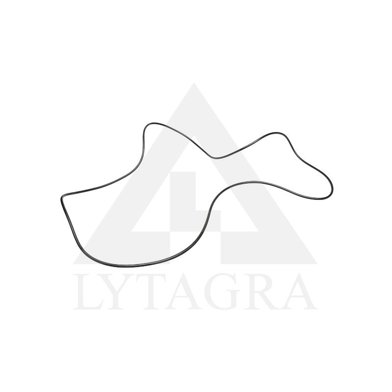 10/906604 APSAUGINIS ŽIEDAS