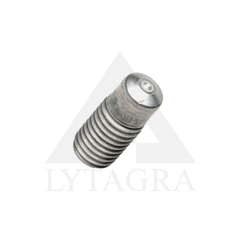 9064040 VARŽTAS M12X25 (VIRINAMAS)