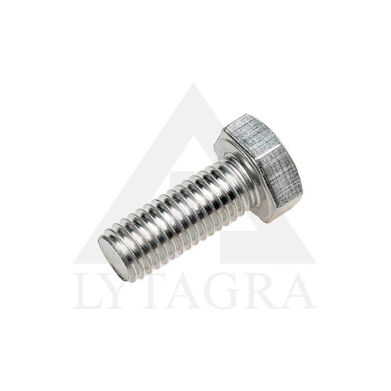 9002950 PLIENINIS VARŽTAS M10X25